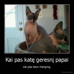 Kai pas katę geresnį papai - nei pas tavo merginą.