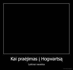 Kai praėjimas į Hogwartsą - Laikinai neveikia