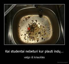 Kai studentai nebeturi kur plauti indų... - valgo iš kriauklės