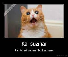 Kai suzinai - kad turesi mazesni broli ar sese