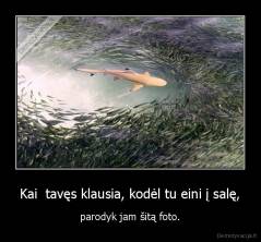 Kai  tavęs klausia, kodėl tu eini į salę, - parodyk jam šitą foto.