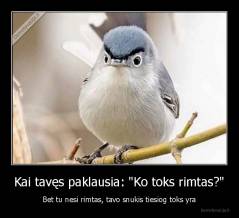 Kai tavęs paklausia: "Ko toks rimtas?" - Bet tu nesi rimtas, tavo snukis tiesiog toks yra