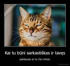 Kai tu būni sarkastiškas ir tavęs - paklausia ar tu čia rimtai.