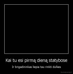 Kai tu esi pirmą dieną statybose - Ir brigadininkas liepia tau rinkti dulkes