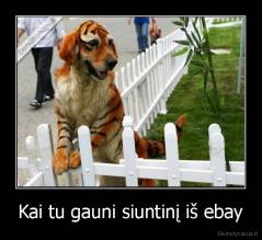 Kai tu gauni siuntinį iš ebay - 