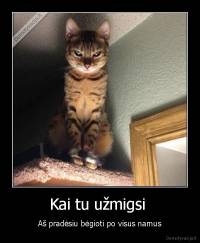 Kai tu užmigsi  - Aš pradėsiu bėgioti po visus namus