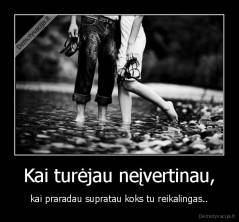 Kai turėjau neįvertinau, - kai praradau supratau koks tu reikalingas..