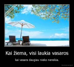 Kai žiema, visi laukia vasaros - kai vasara daugiau nieko nereikia.