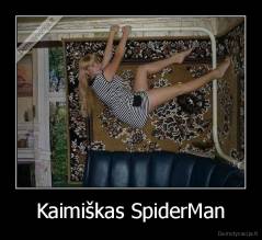 Kaimiškas SpiderMan - 