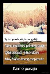 Kaimo poezija - 
