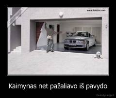 Kaimynas net pažaliavo iš pavydo - 