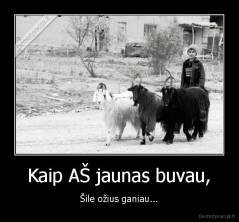 Kaip AŠ jaunas buvau, - Šile ožius ganiau...
