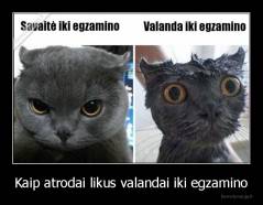 Kaip atrodai likus valandai iki egzamino - 