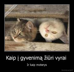 Kaip į gyvenimą žiūri vyrai  - Ir kaip moterys