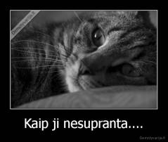 Kaip ji nesupranta.... - 