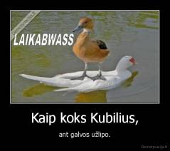 Kaip koks Kubilius, - ant galvos užlipo.