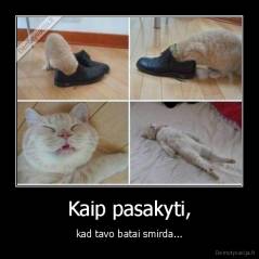 Kaip pasakyti, - kad tavo batai smirda...