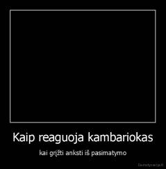 Kaip reaguoja kambariokas - kai grįžti anksti iš pasimatymo