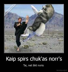 Kaip spirs chuk'as norr's - Tai, net šikt noris 