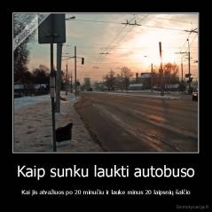 Kaip sunku laukti autobuso -  Kai jis atvažiuos po 20 minučiu ir lauke minus 20 laipsnių šalčio