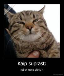 Kaip suprast: - nebėr mano akinių?!