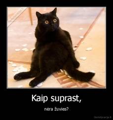 Kaip suprast, - nėra žuvies?