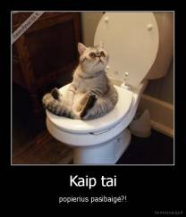Kaip tai - popierius pasibaigė?!