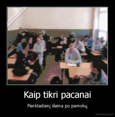 Kaip tikri pacanai - Penktadienį išeina po pamokų