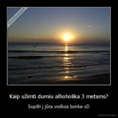 Kaip užimti durniu alhoholika 3 metams? - Supilti į jūra vodkos bonke xD