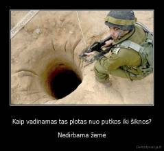 Kaip vadinamas tas plotas nuo putkos iki šiknos? - Nedirbama žemė