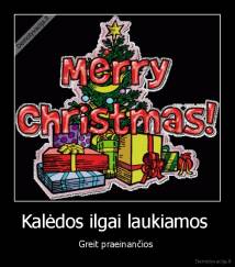 Kalėdos ilgai laukiamos  - Greit praeinančios 