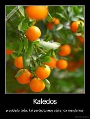 Kalėdos - prasideda tada, kai parduotuvėse atsiranda mandarinai