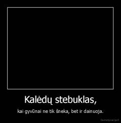 Kalėdų stebuklas, - kai gyvūnai ne tik šneka, bet ir dainuoja.