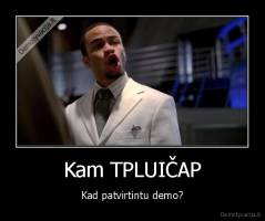 Kam TPLUIČAP - Kad patvirtintu demo?
