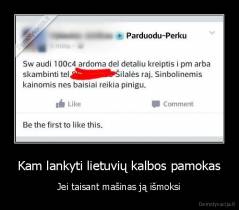 Kam lankyti lietuvių kalbos pamokas - Jei taisant mašinas ją išmoksi