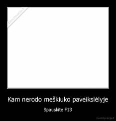 Kam nerodo meškiuko paveikslėlyje - Spauskite F13