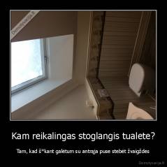 Kam reikalingas stoglangis tualete? - Tam, kad š*kant galėtum su antrąja puse stebėt žvaigždes