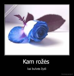Kam rožės  -  kai bulvės žydi 