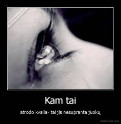 Kam tai - atrodo kvaila- tai jis nesupranta juokų