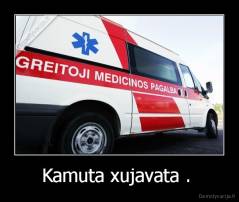 Kamuta xujavata .  - 