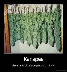 Kanapės - Gyvenimo būdas-bėgant nuo minčių