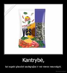 Kantrybė, - kai sugebi gliaudyti saulėgrąžas ir nei vienos nesuvalgyti.