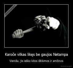 Karoče vilkas likęs be gaujos Netampa - Vienišu. jis ieško kitos ištikimos ir amžinos