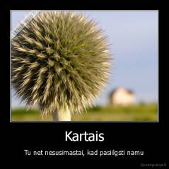 Kartais - Tu net nesusimastai, kad pasiilgsti namu