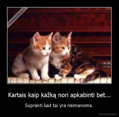 Kartais kaip kažką nori apkabinti bet... - Supranti kad tai yra neimanoma.