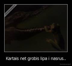 Kartais net grobis lipa i nasrus.. - 