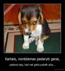 Kartais, norėdamas padaryti gerai, - padarai taip, kad net gėda pakelti akis...