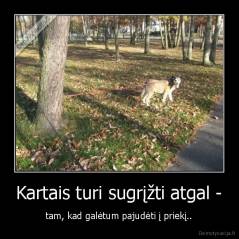 Kartais turi sugrįžti atgal - - tam, kad galėtum pajudėti į priekį..