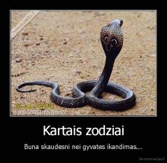 Kartais zodziai - Buna skaudesni nei gyvates ikandimas...
