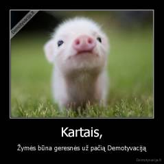 Kartais, - Žymės būna geresnės už pačią Demotyvaciją